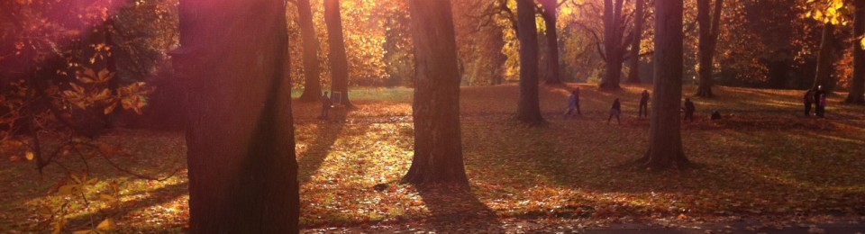 Licht